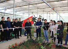立足岗位抓党建 搞好党建促工作