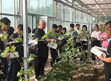 智能温室教学